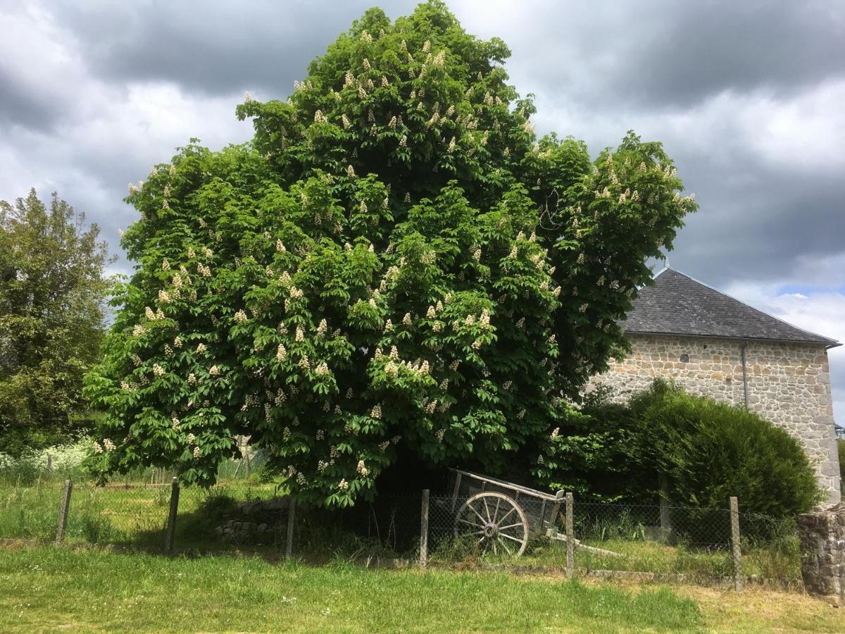 Les Pipistrelles 19 - Chambre D'Hotes Meymac Exterior photo